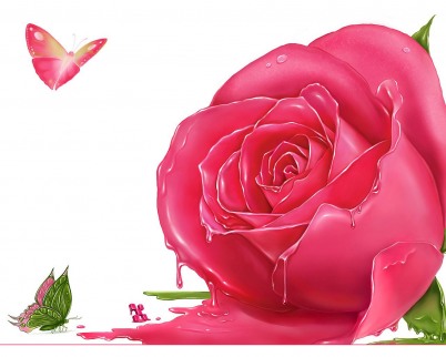 flower wallpaper rose. rose flower wallpaper.